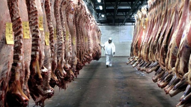 Income from meat exports grew