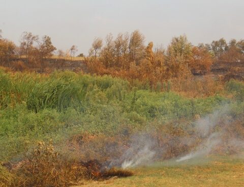 Insfrán decreed the agricultural emergency in Formosa