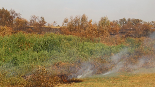 Insfrán decreed the agricultural emergency in Formosa