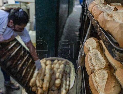 It was agreed to keep the kilo of bread between $180 and $220