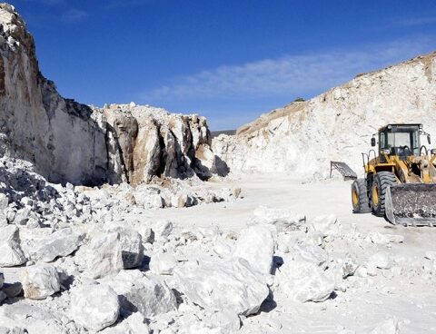 Mining, agriculture, industry and construction drove the largest increases in employment