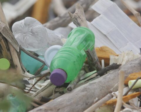 Not even 10% of plastic is recycled in the world