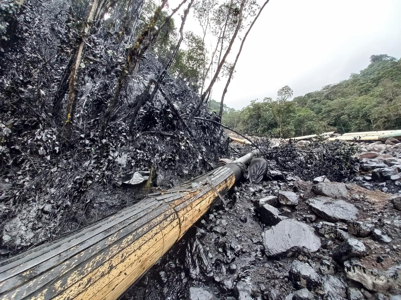 OCP assures that it reached 90% cleanup of the oil spill