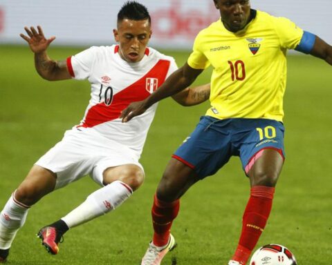 Peru vs. Ecuador: How much do bookmakers pay for a Bicolor victory?