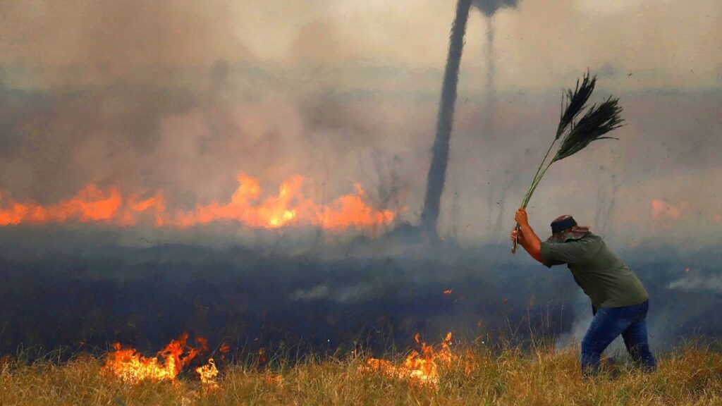 Producers affected by the fires in Corrientes will be exempt from paying taxes