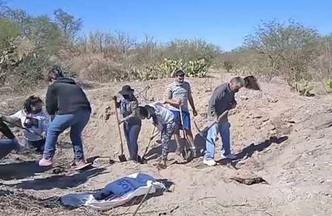 Sonora searchers find grave with remains of at least 50 people