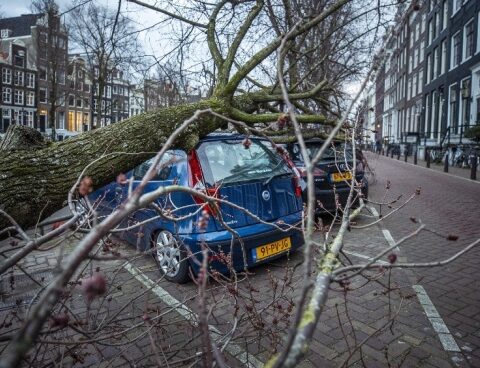 Storm Eunice left 13 dead, material damage and massive power outages in Europe