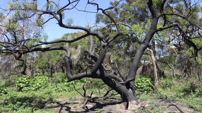 The Meeting for the preservation of the Isla de los Mastiles Natural Reserve culminated