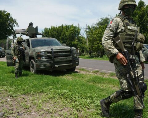 The Mexican avocado, hostage of the crime that worsens in Michoacán