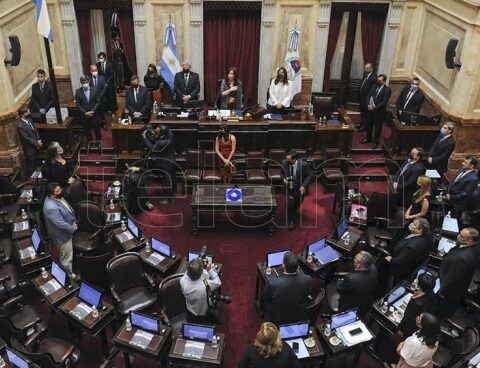 The Senate in preparation for the preparatory session