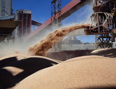 The conflict in Mar Negro added volatility to the grain market