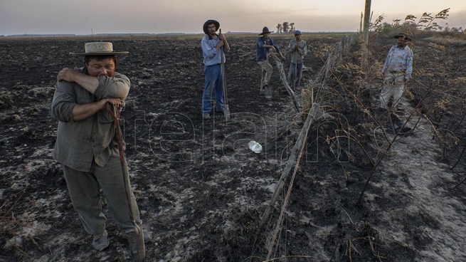 The fires in Corrientes "they will impact Argentine livestock"said Dominguez