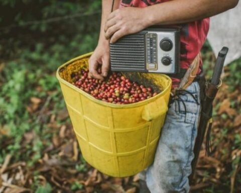 The premium for quality of Colombian coffee increased 600%