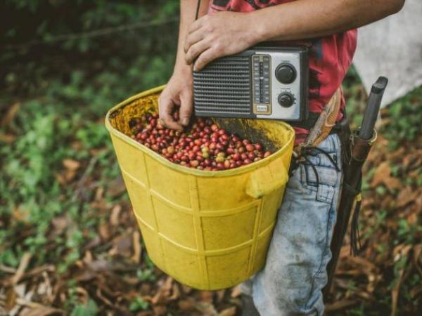 The premium for quality of Colombian coffee increased 600%