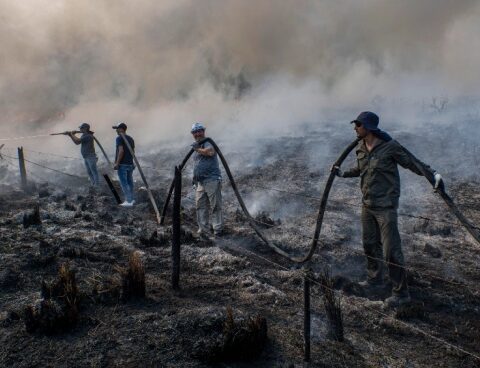 The sources of fires in Corrientes decreased, after the arrival of the rain