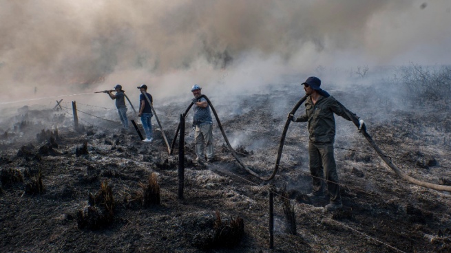 The sources of fires in Corrientes decreased, after the arrival of the rain