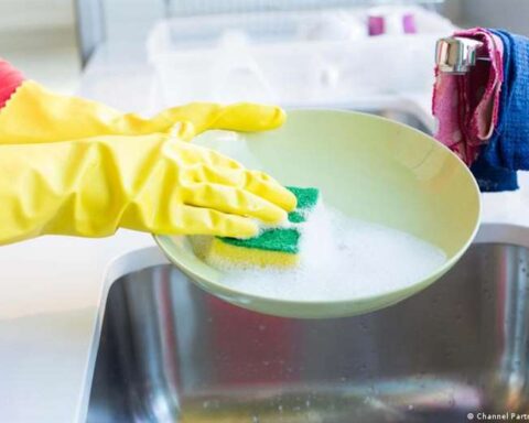 The surprising and real reason why your kitchen sponge is an ideal incubator for bacteria