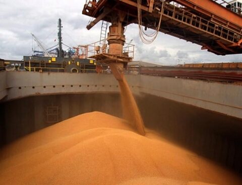 The weather in February will be key to avoiding further cuts in the thick grain campaign