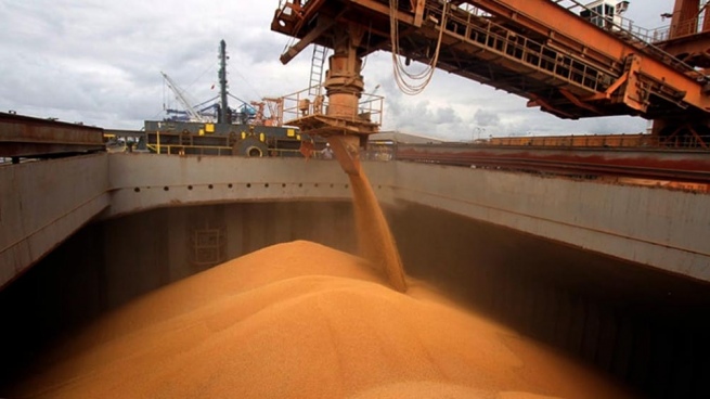 The weather in February will be key to avoiding further cuts in the thick grain campaign