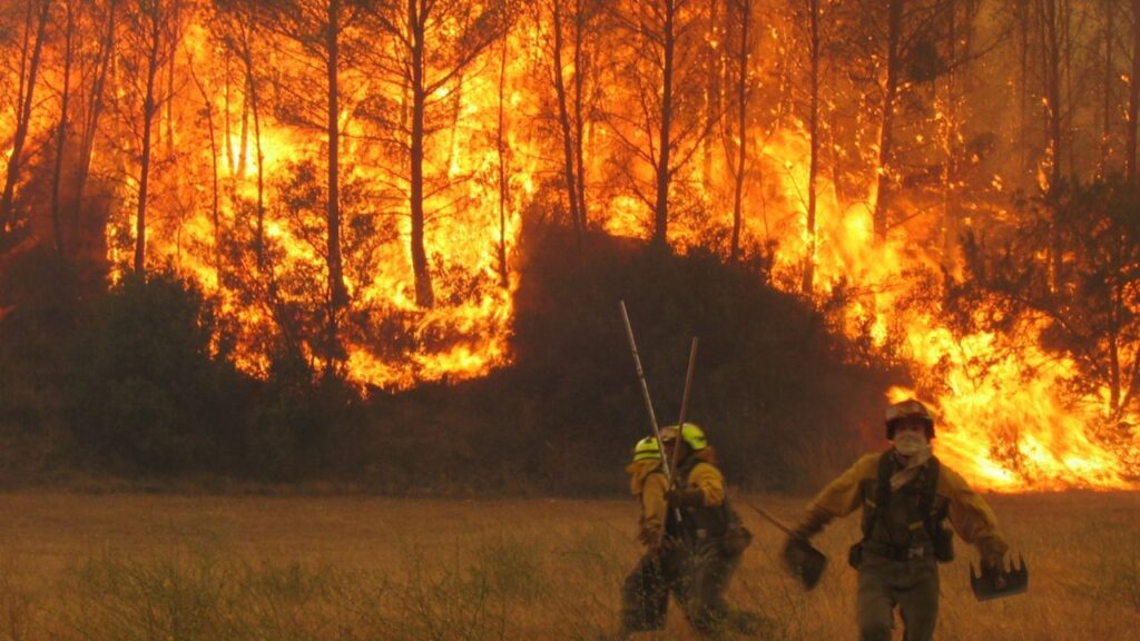 They discover the origin of the fire in Corrientes amid attempts to control the flames