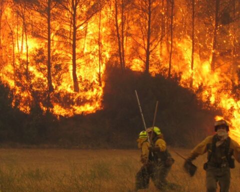 They discover the origin of the fire in Corrientes amid attempts to control the flames