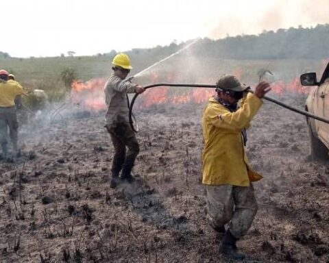 They fight a large-scale fire in the San Rafael Reserve