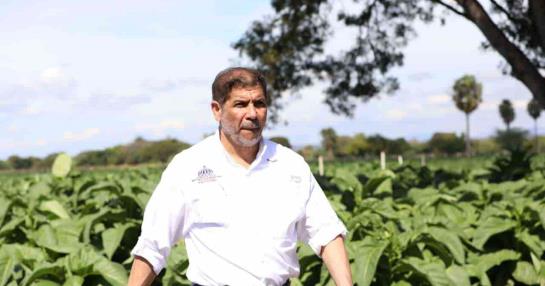 Tobacco will also be produced in San Juan de la Maguana