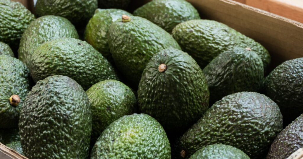 US suspends avocado shipments from Michoacán due to threat