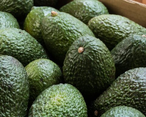 US suspends avocado shipments from Michoacán due to threat