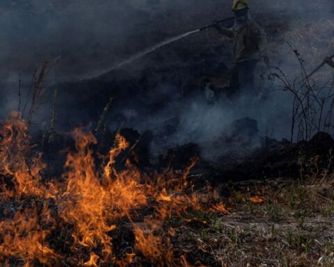 Uncontrollable fires: more than 8% of the province of Corrientes has been devastated