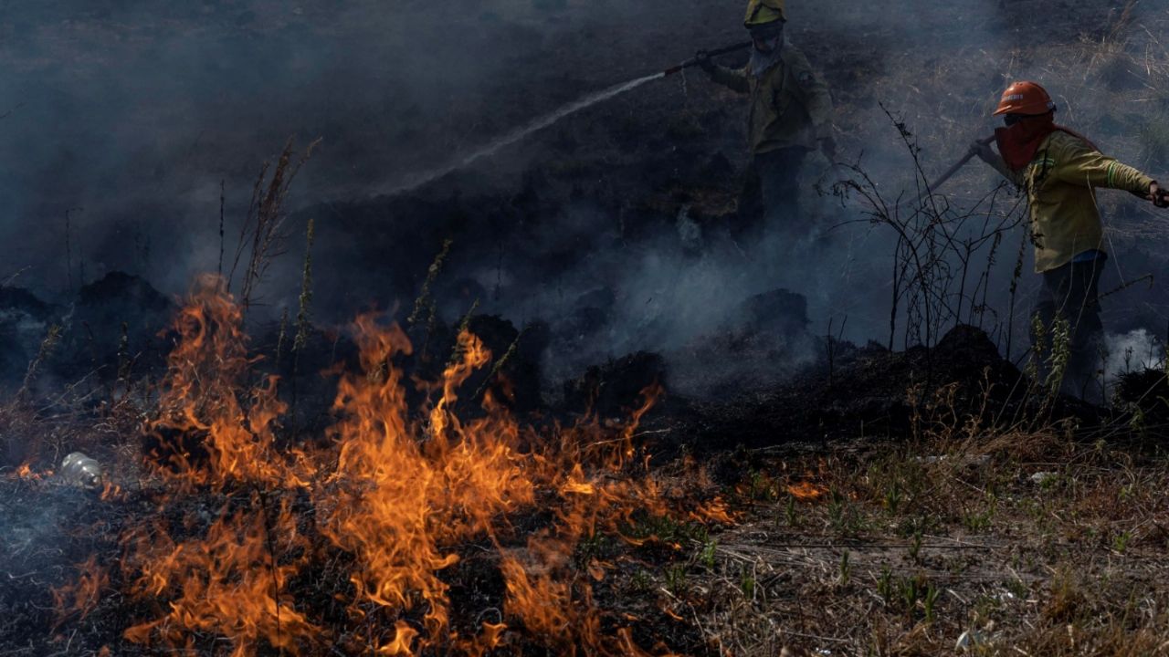 Uncontrollable fires: more than 8% of the province of Corrientes has been devastated