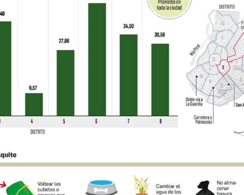 29% of the houses in the city have mosquito larvae