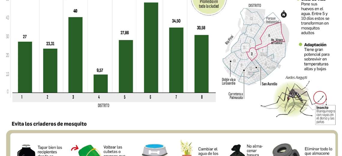 29% of the houses in the city have mosquito larvae