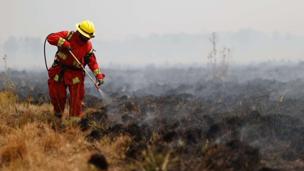 After two months of fire crisis, the fires in Corrientes were already controlled