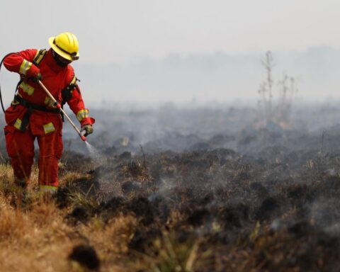 After two months of fire crisis, the fires in Corrientes were already controlled