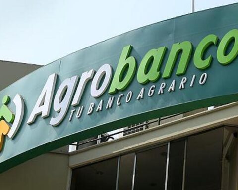 Agrobanco granted more than S/ 257 million in credits to 23,184 rural women