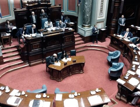 An incident due to the referendum prevented the completion of the renewal of Senate authorities