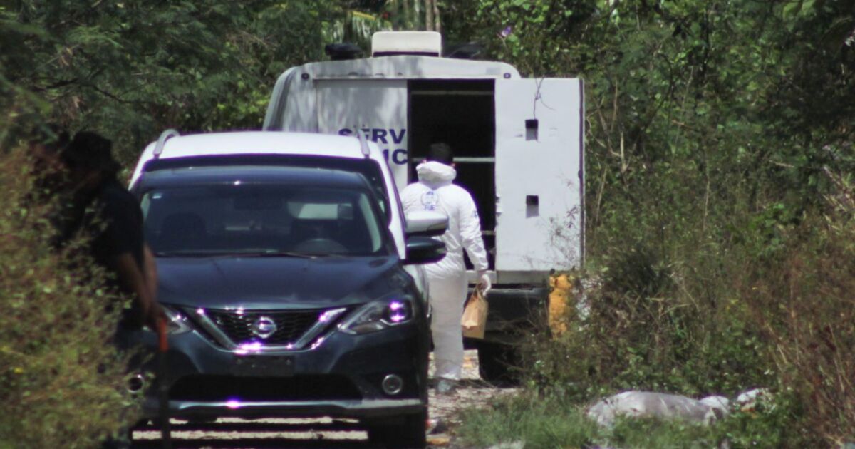 Authorities find another clandestine grave in Cancun, Quintana Roo