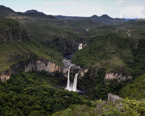 Chapada dos Veadeiros Park starts to receive night visitors