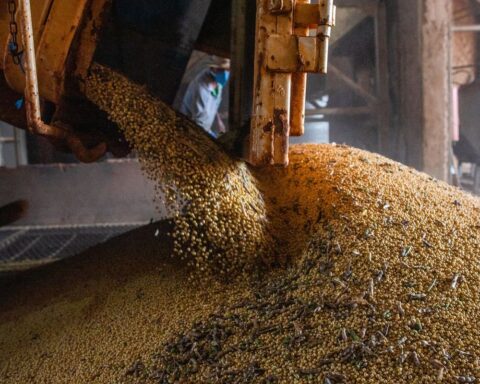 Conab estimates grain harvest of 265.7 million tons