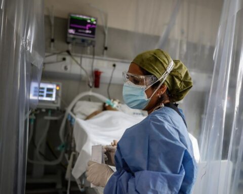 Coronavirus in Argentina: daily cases and deaths fell this weekend