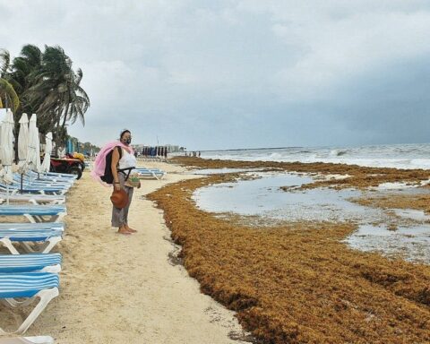 Council for the Comprehensive Management of Sargassum analyzes monitoring with hot air balloons