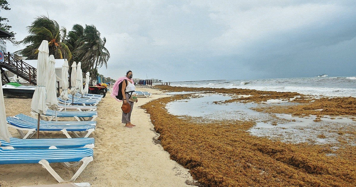 Council for the Comprehensive Management of Sargassum analyzes monitoring with hot air balloons