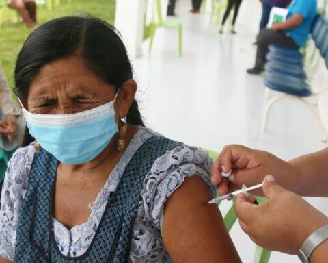 Covid in Bolivia: 90 people were infected this Sunday