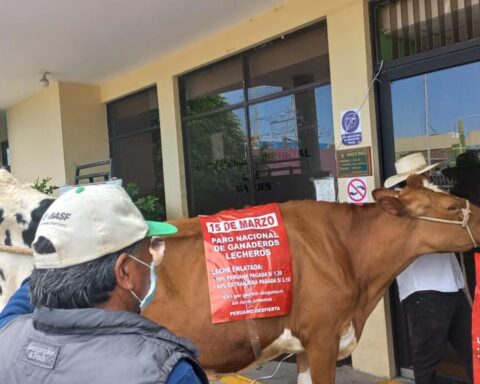 Dairy farmers from Arequipa will start strike on March 15