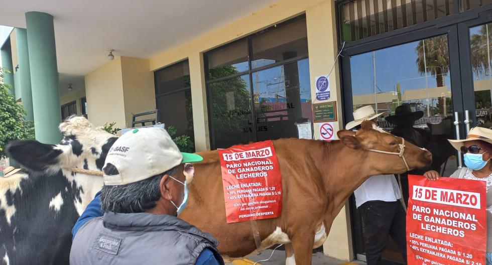 Dairy farmers from Arequipa will start strike on March 15