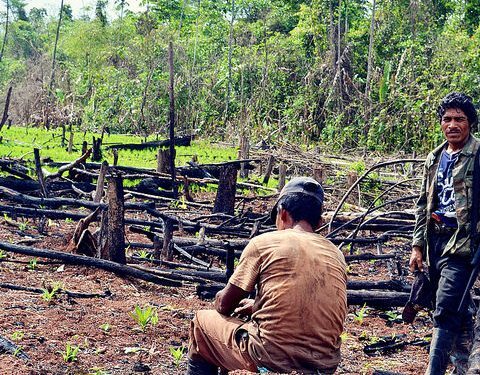 Defenders denounce "economic interests of the State" of Nicaragua as the main reason for violence against indigenous people