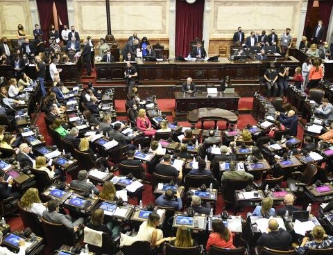 Deputies debate the agreement with the IMF in Congress