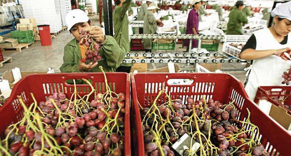 Exports from 13 regions grew in January, reaching US$ 2,783 million