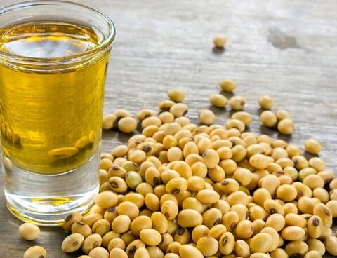 Exports of soybean meal and oil suspended